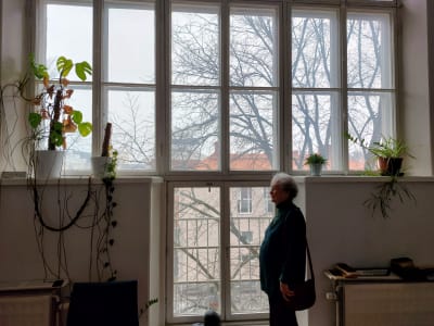 En äldre kvinna blickar ut genom ett högt ateljéefönster. På fönsterkarmar står diverse grönväxter. Helsingfors breder ut sig mot Sörnäs framför henne.