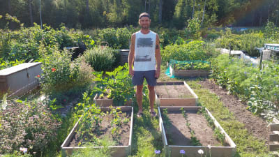 Palstalla viljelevä Juho Liesmäki seisoo kasvatuslaatikoidensa vieressä. Kasvatuslaatikoissa kasvaa hernettä, porkkanaa, kesäkurpitsaa, salaattia ja sipulia.