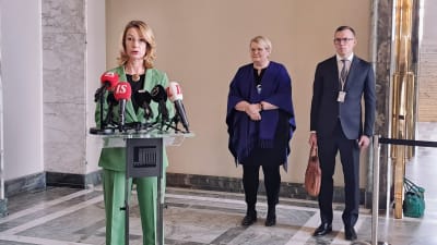 Tytti Tuppurainen på Uniper-infot