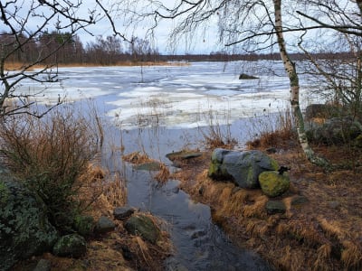 Bodvattnet i Björkö i Korsholm.