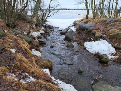 Bäcken mellan Bodvattnet och havet i Björkö i Korsholm.