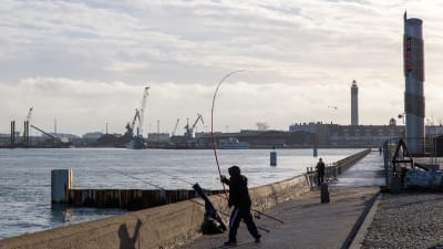 Ranskassa Calaisin satamassa kalastajia. Takana näkyy satama, mistä lähtee ja mihin tulee rahtilaivoja Isosta Britanniasta.