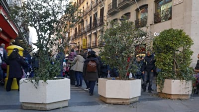 Jättelika blomkrukor i betong ska stoppa fordon från att köra in på en gata som leder till Plaza del Sol där Madridbor väntas fira nyår.