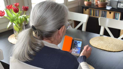 En kvinna sitter vid ett köksbord med ryggen mot fotografen. Hon tittar på ett fotografi i sin mobiltelefon