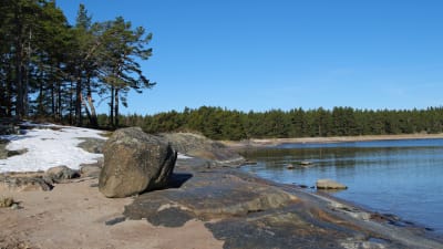 Högholmens naturstig i Hangö mars 2022.