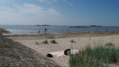 Fol på simstrand