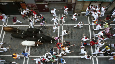 Tusentals människor springer undan skenande tjurar.