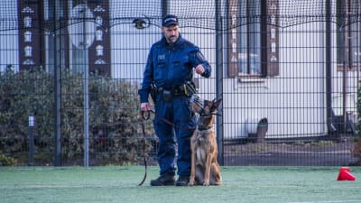 Polis och polishund på sportplan