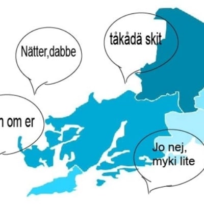 Karta med västnyländska citat.