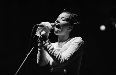 Isländska artisten Björk