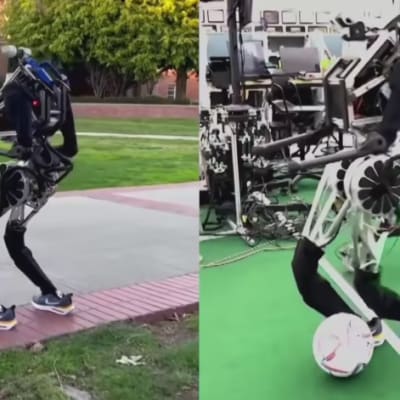 Kuvassa kuvapari Artemis-robotista, jossa vasemmalla se seisoo katukiveyksellä katse poispäin kamerasta ja oikealla se pelaa jalkapalloa.