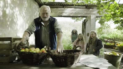En skrattande Howard (James Cosmo) står utomhus och sorterar äpplen, i bakgrunden syns två glada barn och en leende Annie (Bríd Breenan).