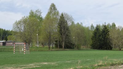 Skogsdunge som ska bli gräsplan i Sjundeå centrum.