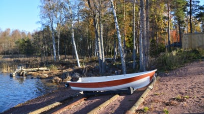 En vitröd motorbåt framför en strand med träd i bakgrunden.