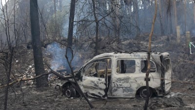En paketbild förstörd i skogsbränder i Portugal.
