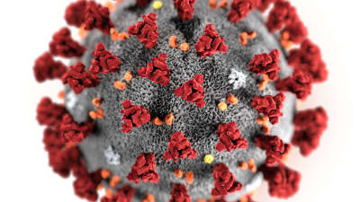 En datoranimerad bild av coronaviruset.