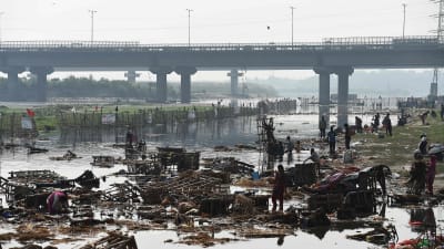 Människor letar efter återanvändbara saker i floden Yamuna i New Delhi i oktober 2016.