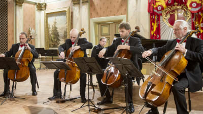 Rastrelli cellokvartett spelar i Vasa stadshus