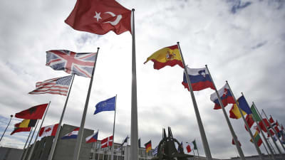 Natomedlemmarnas flaggor utanför militäralliansens huvudkontor i Bryssel.