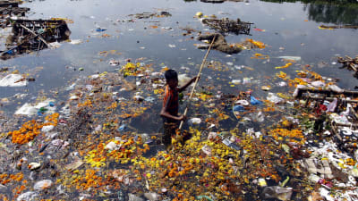 Pojke i förorenad flod. 