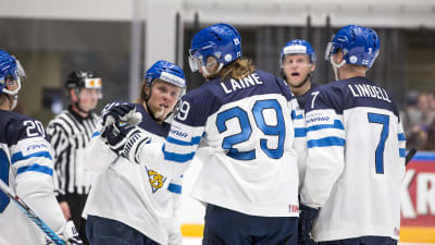 Finlands spelare, ishockey-VM 2016.