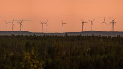 Vindkraftverk i horisonten av en skogshöjd.