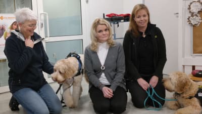 Annika Alopeus, Nona Borgström och Mia Boivie poserar med terapihundarna Cooper och Hugo