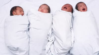 Fyra nyfödda bebisar ligger på rad på en säng.