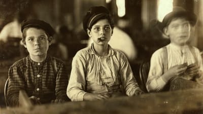 Tre pojkar som jobbar i en cigarrfabrik i Florida. Bilden togs 1909 av Lewis Hine.