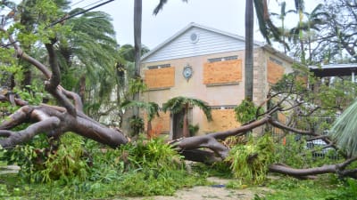 Orkanen Irma