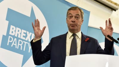 Brexit-puolueen johtaja Nigel Farage puhui vaalitilaisuudessa Walesissa Pontypoolin kaupungissa 8. marraskuuta.