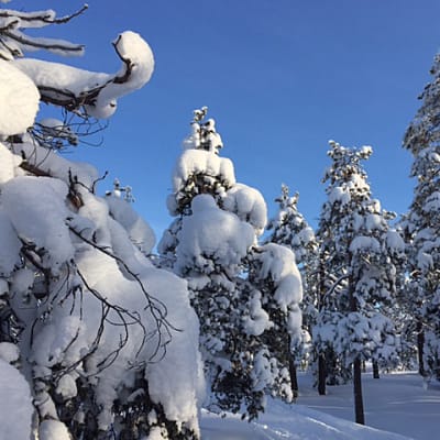 Lunta riittää