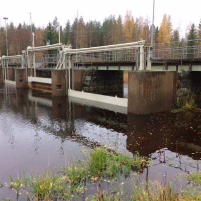 Virttoon padolla säädellään Kuortaneenjärven pintaa Lapuanjoessa. Joki virtaa järven läpi.