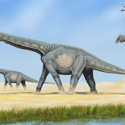 Piirroskuva kolmesta pitkäkaulaisesta ja -häntäisestä dinosauruksesta kulkemassa neljällä jalalla pölyisessä maastossa. Taivaalla on lentolisko. 
