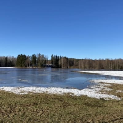 Kevättulvan peittämä pelto Hamian Metsäkylässä.