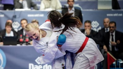 karate, em, kuusisto