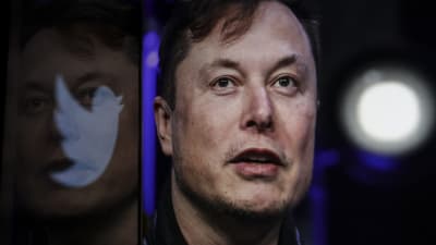 Elon Musk tittar uppåt och framåt. Bredvid honom en logo av Twitter.