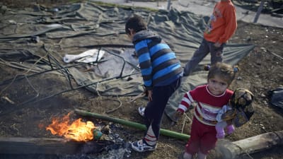 flyktingbarn på lägret i Charmanli i bulgarien