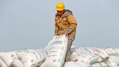 Hamnarbetare hanterar säckar med sojabönor i hamnen i Nantong i Kina.