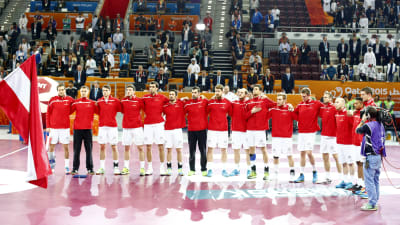 Österrikes handbollslandslag inför VM-mötet med Qatar.
