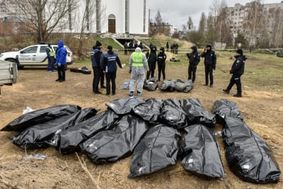 Kriminaltekniker inledde på måndagen sitt arbete med att gräva upp en massgrav i Butja. Ukrainska myndigheter innehåller massgraven över 410 kroppar. 