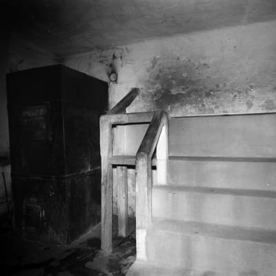 Näkymä Hernesaarenkadun saunan löylyhuoneeseen vuonna 1972.