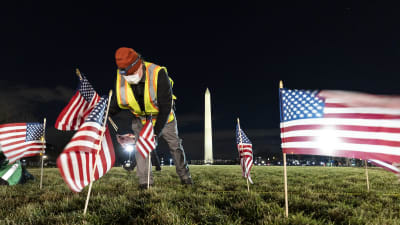 En man placerar ut små amerikanska flaggor på en gräsmatta.