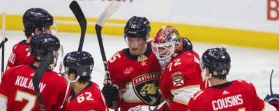 Florida Panthers firar.