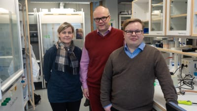 Annamari Heikinheimo, Marko Virta och Teppo Hiltunen.