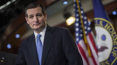 Den republikanska senatorn Ted Cruz i Washington den 12 februari 2015.