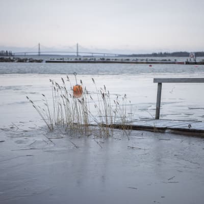 Högt vattenstånd lyfter isen upp över en brygga i Korsholms skärgård. I bakgrunden syns Replotbron.