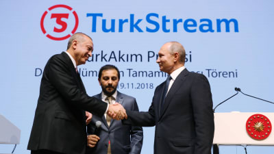 Presidenterna Erdogan och Putin skakar hand.