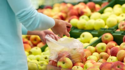 Person plockar frukter i plastpåse. I bakgrunden syns flera lådor av äpplen. 