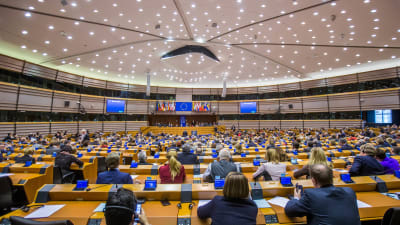 Europaparlamentet i Bryssel 2017